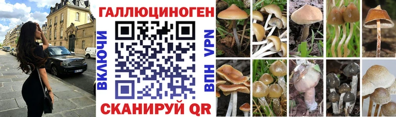 Галлюциногенные грибы Psilocybe  Купить  Жуковка 